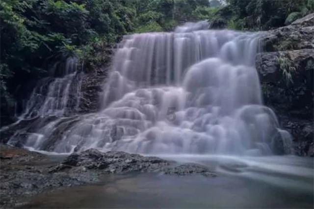 春雨直播app
