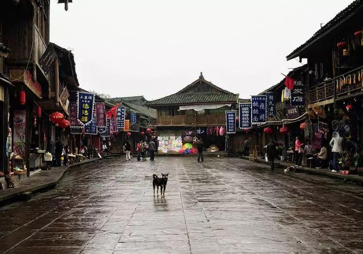 逃离阴暗的房屋