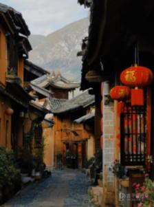 寻找火鸡